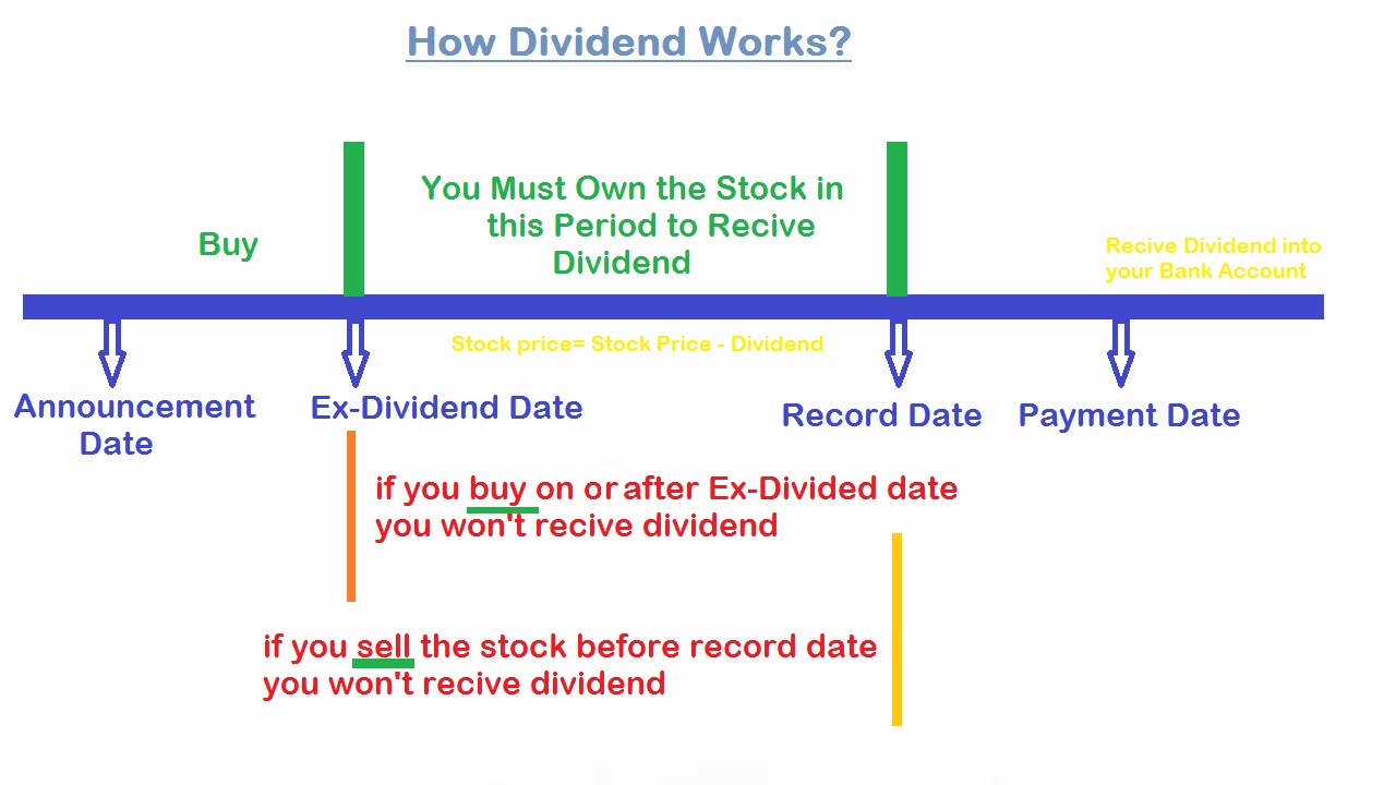 Bajaj Holdings dividend news